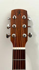 aNueNue L10E Gitarre