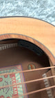 aNueNue L10E Gitarre
