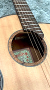aNueNue L10E Gitarre