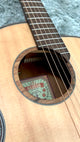 aNueNue L10E Gitarre