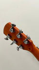 aNueNue L10E Gitarre