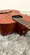 aNueNue L20 Gitarre