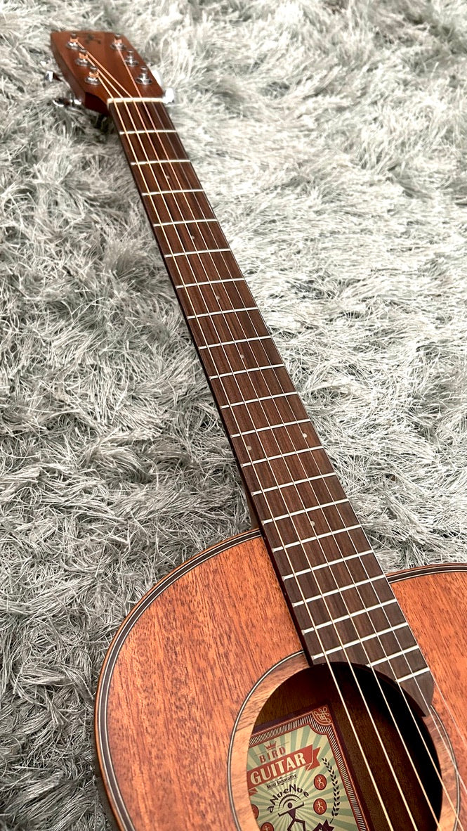 aNueNue L20 Gitarre