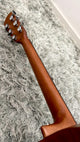 aNueNue L20 Gitarre