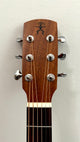 aNueNue L20 Gitarre