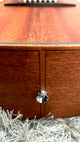 aNueNue L20 Gitarre