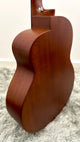 aNueNue L20E Gitarre