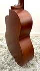 aNueNue L20E Gitarre
