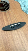 aNueNue L20E Gitarre
