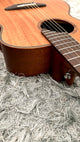 aNueNue L20E Gitarre