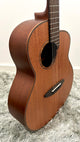 aNueNue L20E Gitarre