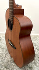 aNueNue L20E Gitarre