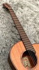 aNueNue L20E Gitarre