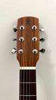 aNueNue L20E Gitarre