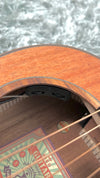 aNueNue L20E Gitarre