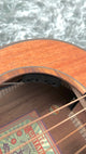aNueNue L20E Gitarre