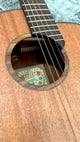 aNueNue L20E Gitarre