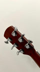 aNueNue L20E Gitarre