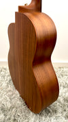 aNueNue L30 Gitarre