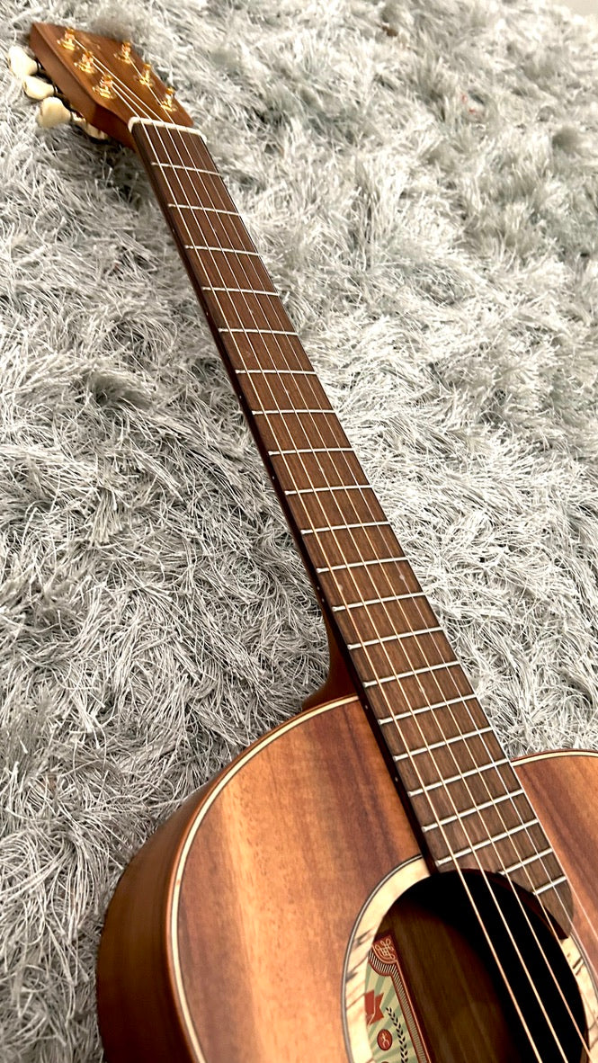 aNueNue L30 Gitarre