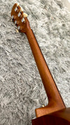 aNueNue L30 Gitarre