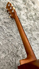 aNueNue L30 Gitarre