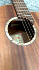 aNueNue L30 Gitarre