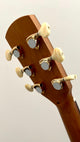 aNueNue L30 Gitarre