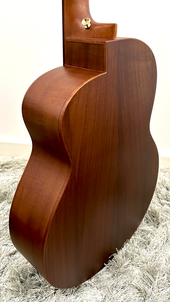 aNueNue L30E Gitarre