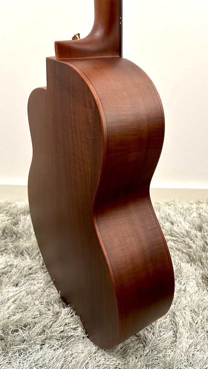 aNueNue L30E Gitarre