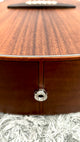 aNueNue L30E Gitarre