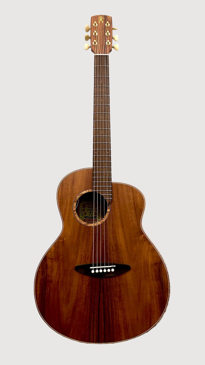 aNueNue L30E Gitarre