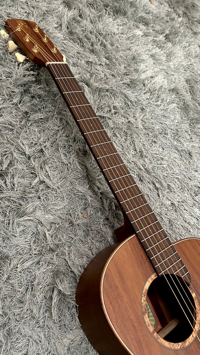 aNueNue L30E Gitarre