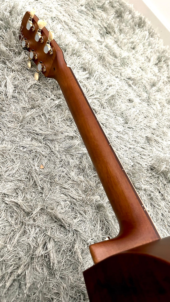 aNueNue L30E Gitarre