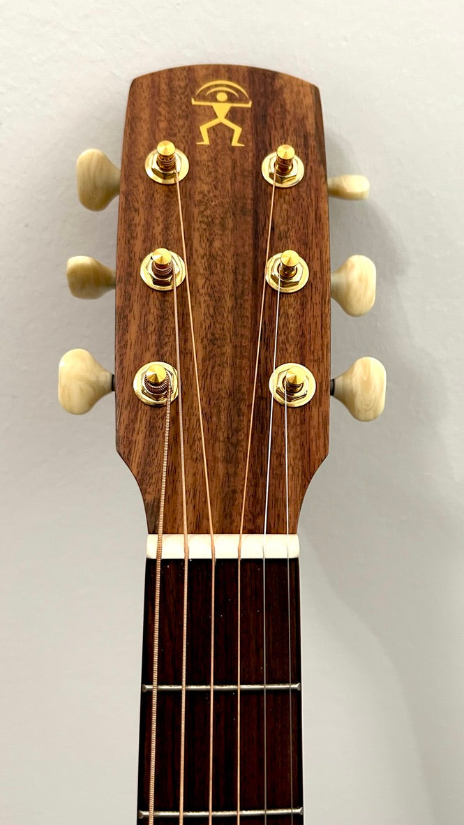 aNueNue L30E Gitarre