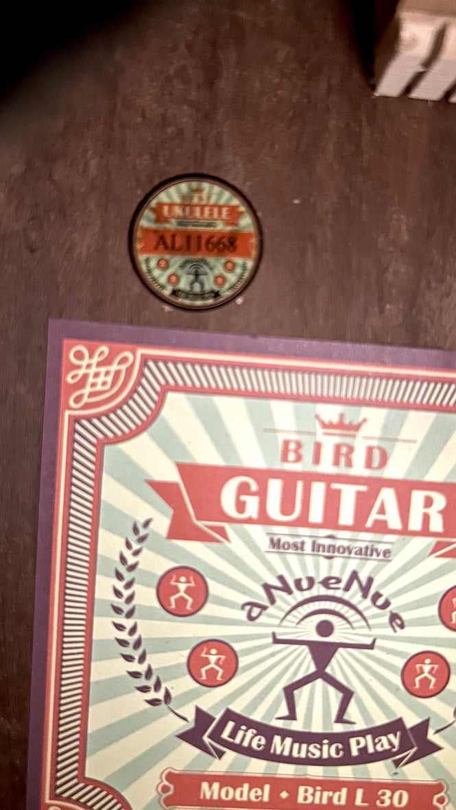 aNueNue L30E Gitarre