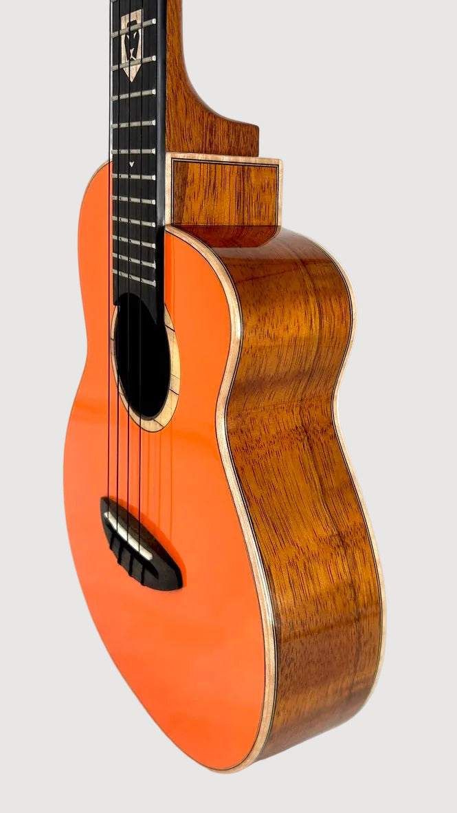 aNueNue LOUT Tenor