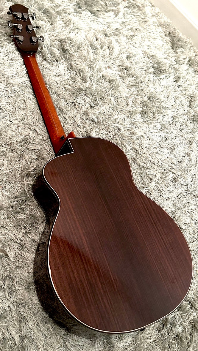 aNueNue LS600 Gitarre