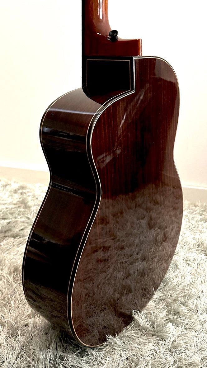 aNueNue LS600 Gitarre