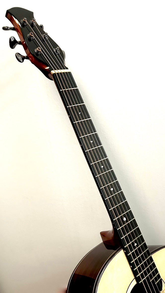 aNueNue LS600 Gitarre