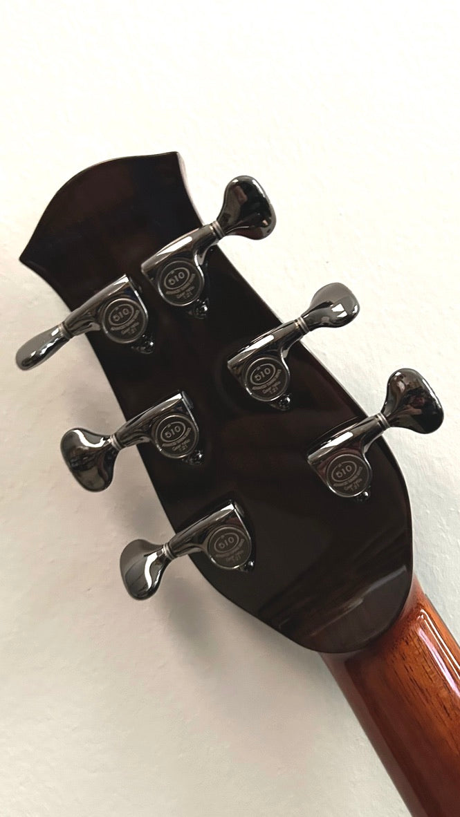 aNueNue LS600 Gitarre