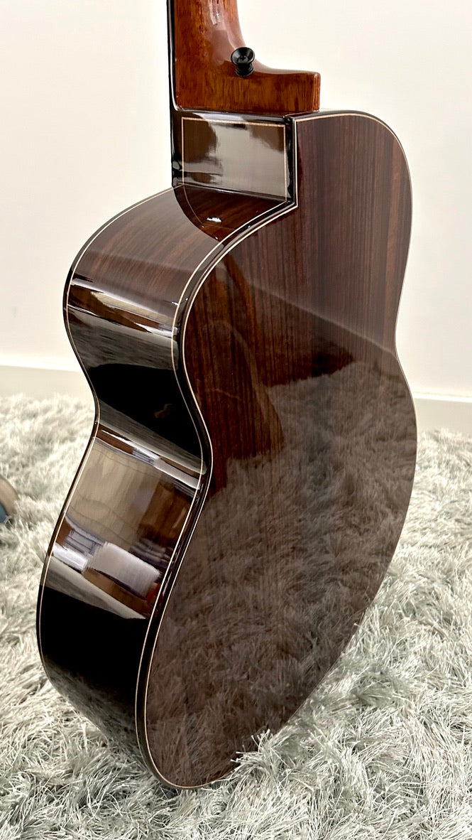 aNueNue LS600E Gitarre