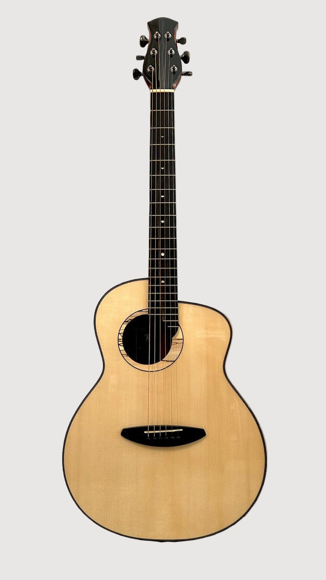 aNueNue LS600E Gitarre