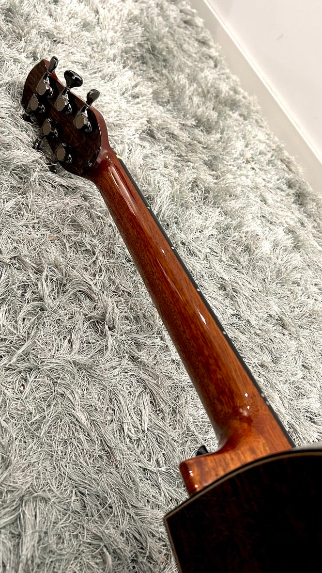 aNueNue LS600E Gitarre