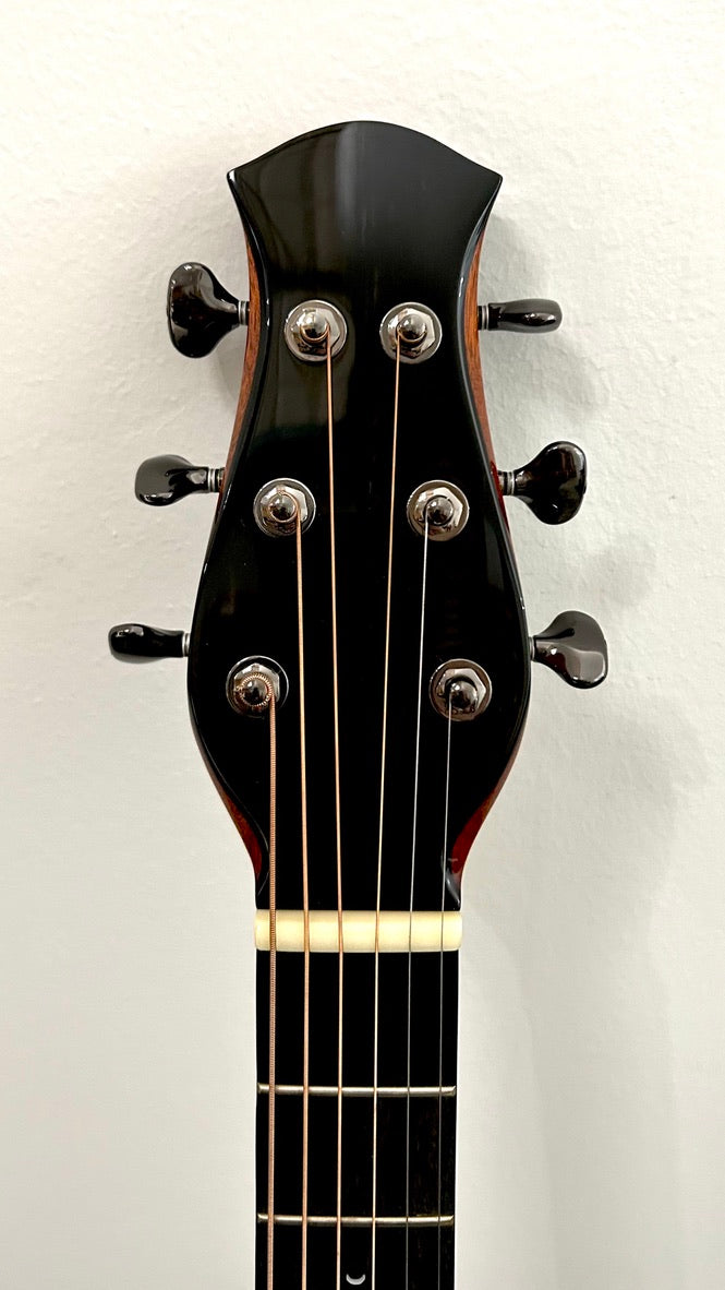 aNueNue LS600E Gitarre