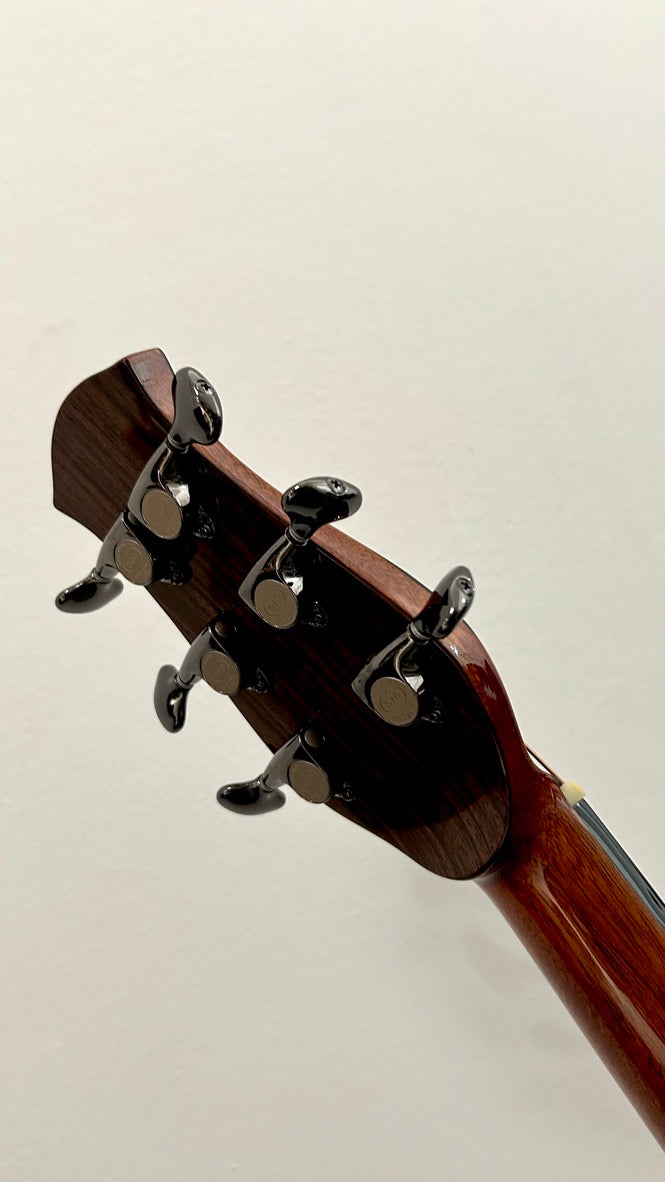 aNueNue LS600E Gitarre