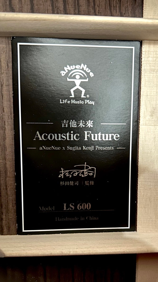 aNueNue LS600E Gitarre