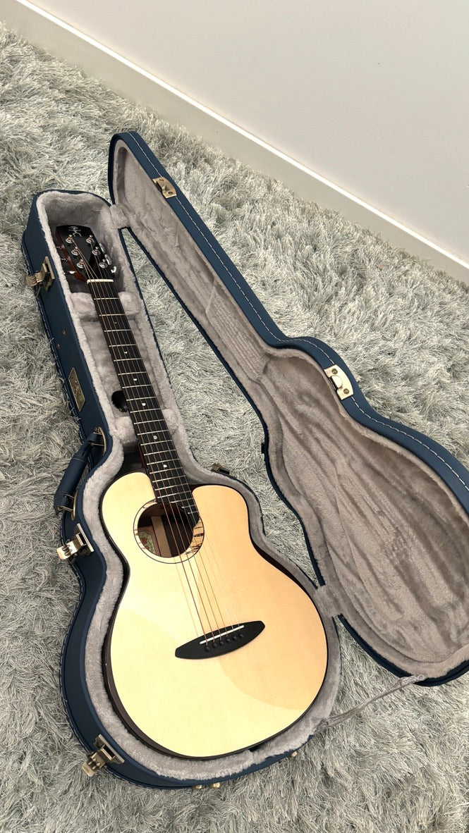 aNueNue LS600E Gitarre