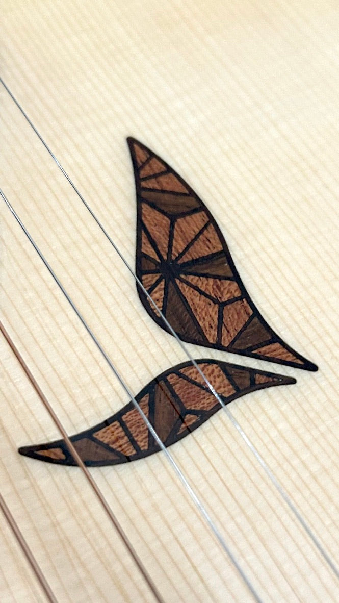 aNueNue LS700 Gitarre