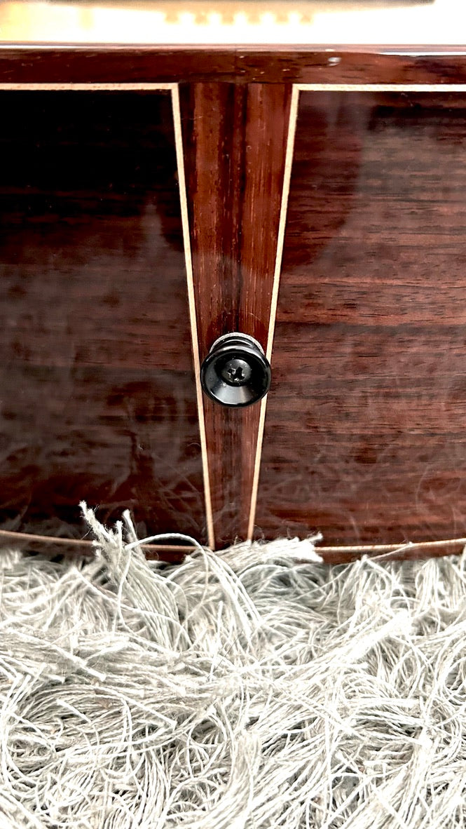 aNueNue LS700 Gitarre